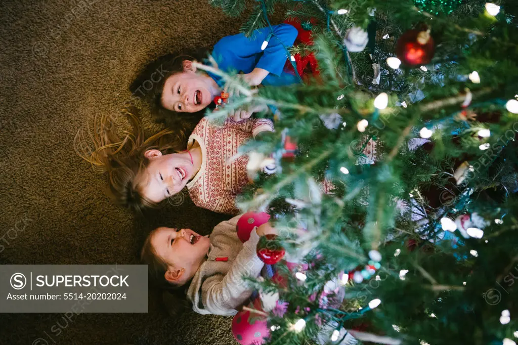 Siblings laugh and smile under Christmas tree lights