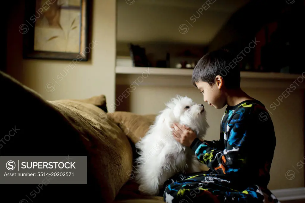 A Boy Admiring His Dog