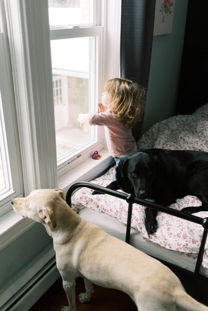 A little girl and her dogs.