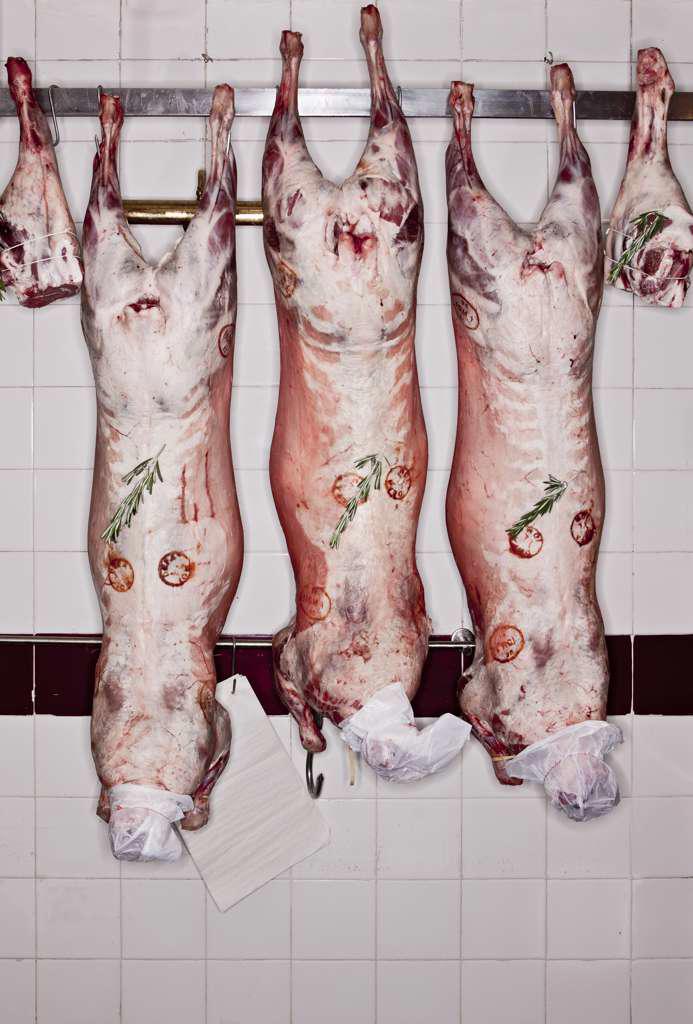 Hanging lamb carcasses in butchers shop