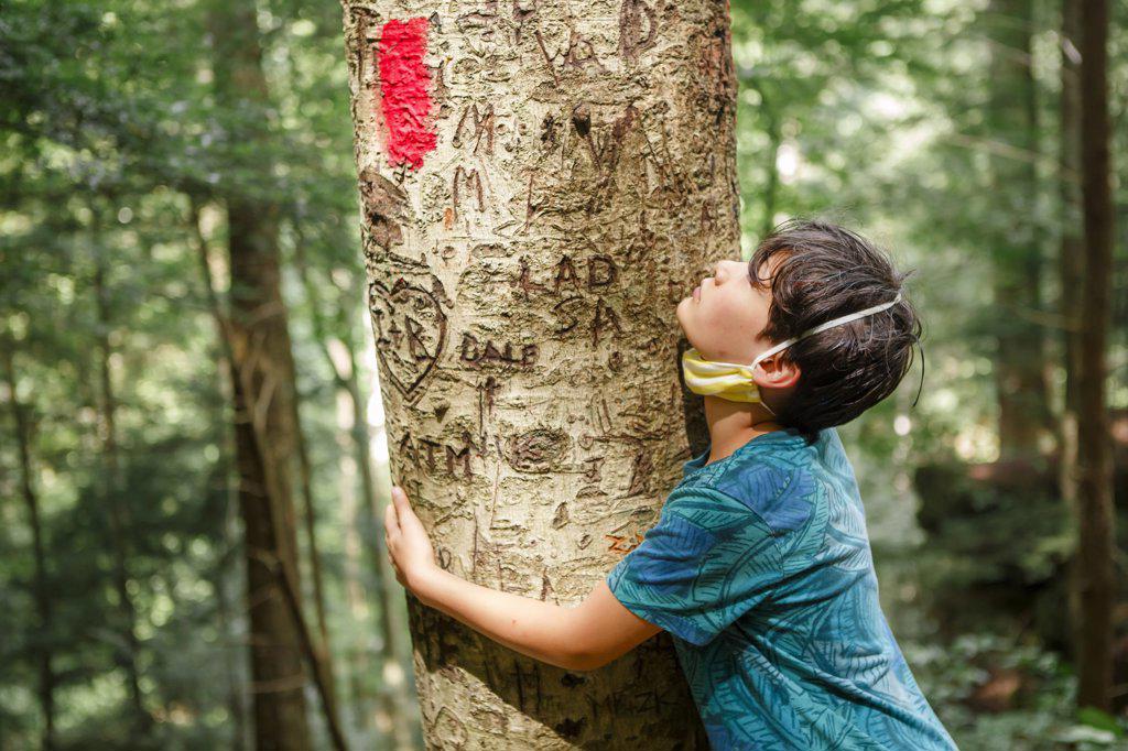 A small boy sadly hugs a tree trunk scarred with graffiti