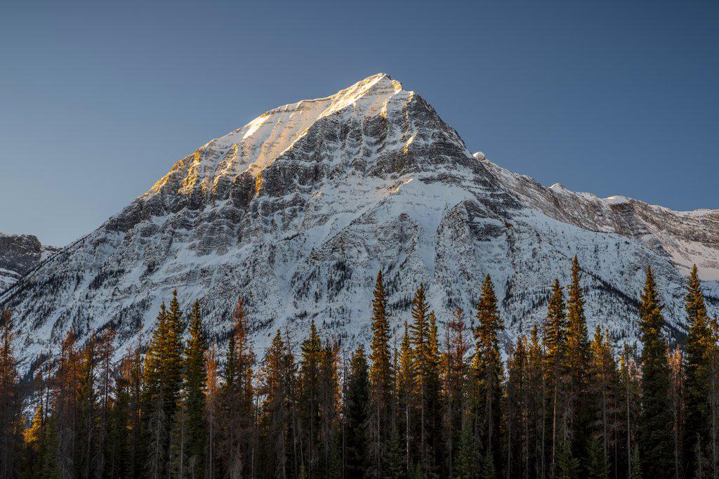 Gerdanine Peak Standing Tall Over Athabasca River