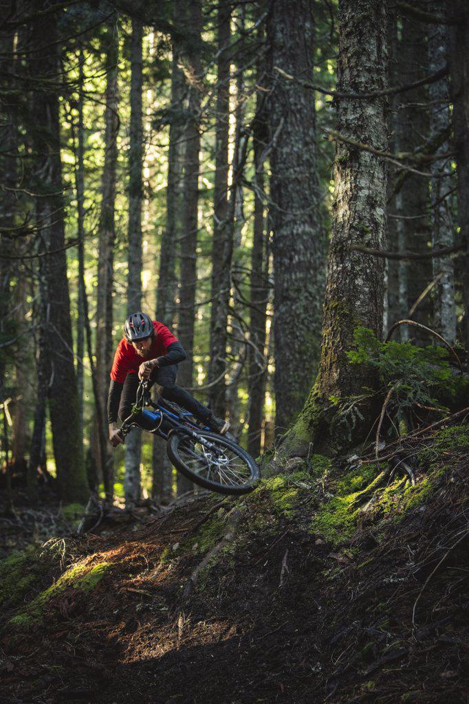 Mountain biker jumping roots in lush pnw forest of Washington