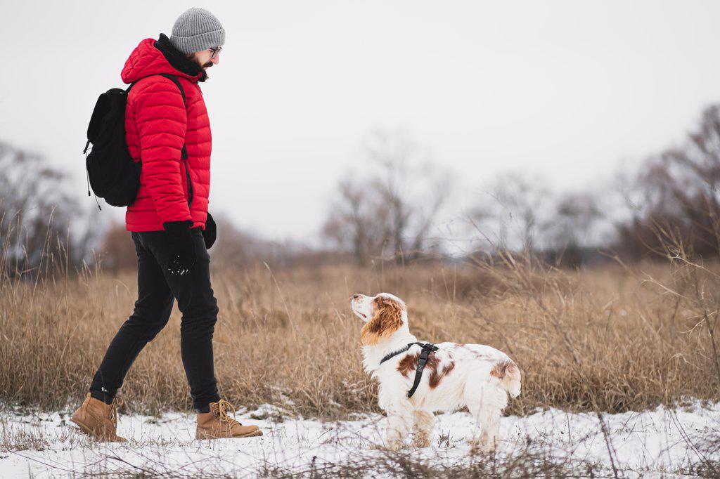 Man walking with dog outdoors in winter nature