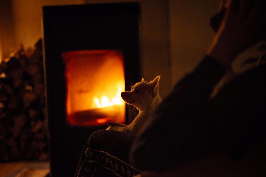 Person talks on phone by warm fire in evening with chihuahua on lap
