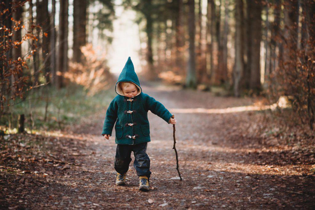 Young child walking with a stick in the forest on a sunny Fall day