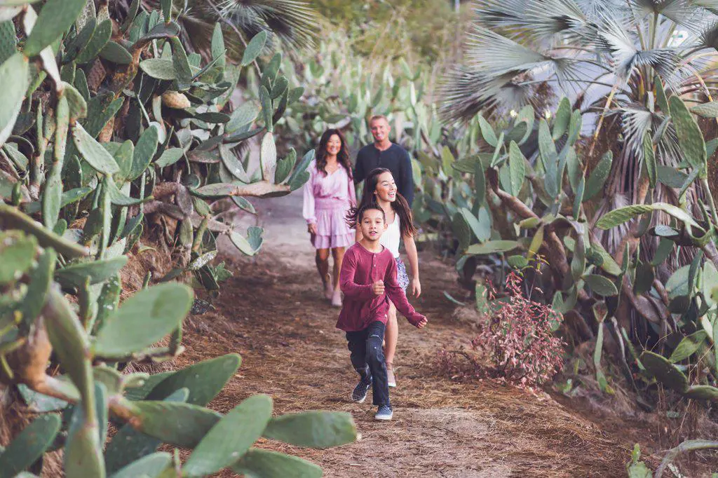 Family of four walking happily on a cactus trail.
