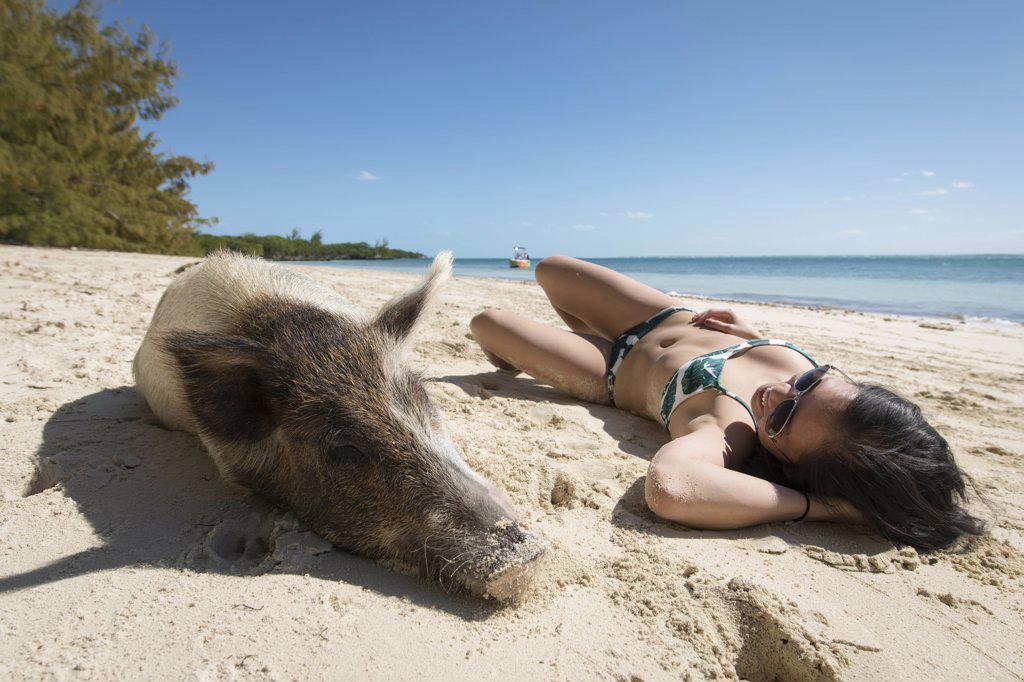 Young asian female sleeping next to  pig on beach in Bahamas