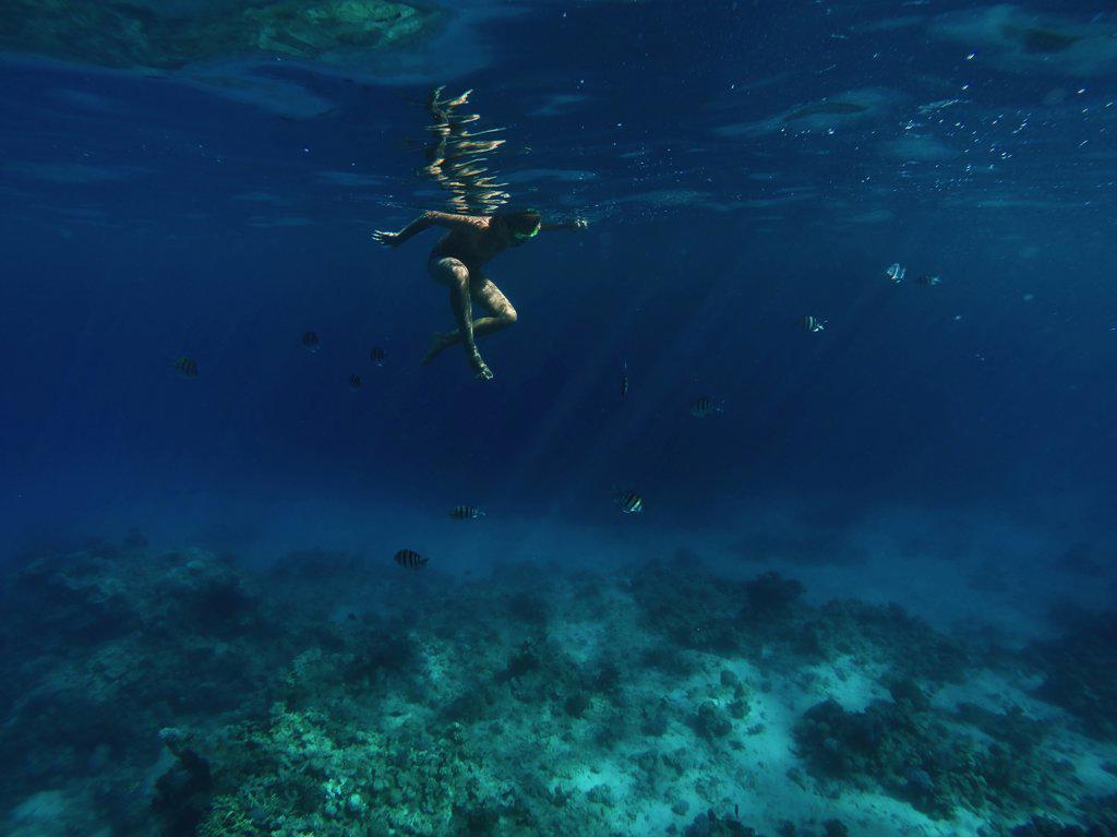 A boy is swimming under the water in red sea with fishes