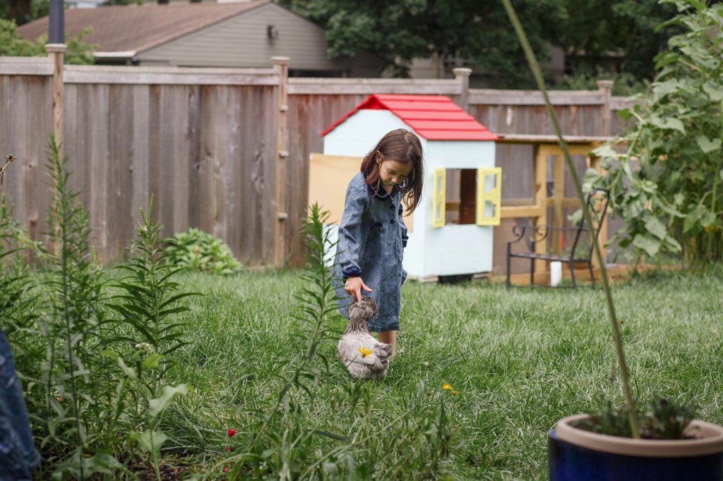 A little girl reaches down to pet chicken in backyard garden