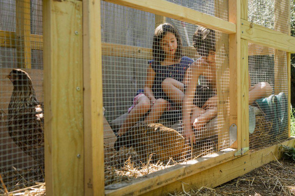 Two content children sit together in coop playing with chickens