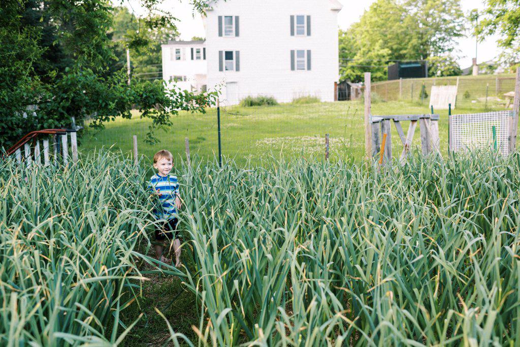 Little smiling boy playing in the backyard garlic field