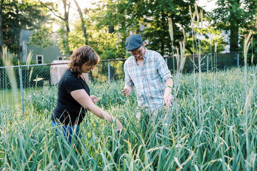 A smiling couple harvesting their garlic scapes in backyard together