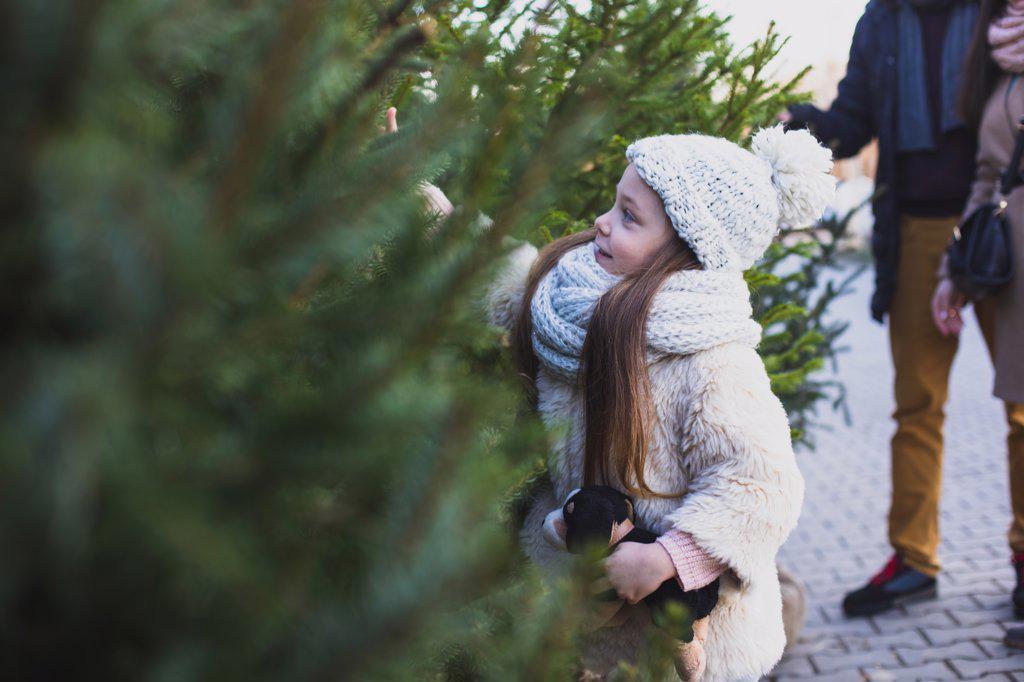 5 years girl choose the Christmase tree at the outdoors market