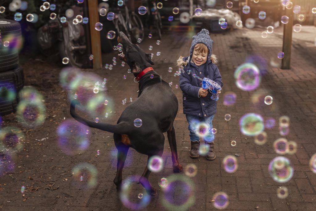 Toddler playing with doberman pincher and bubbles and bubble gun