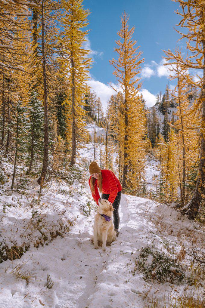 Female Hiker and Dog Hiking Through Larches In The Fall