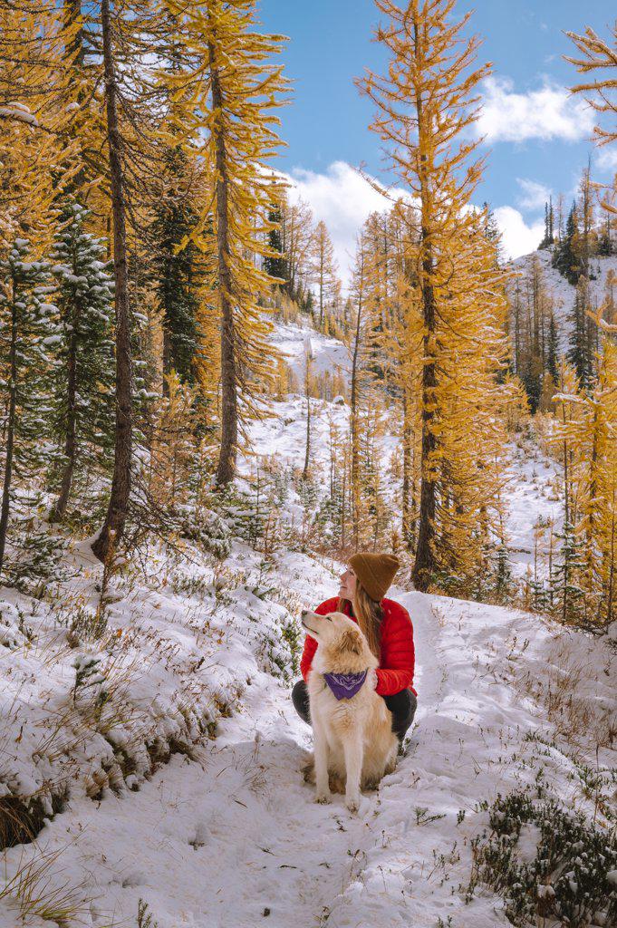 Cute Dog and Hiker Posing In a Grove of Larches