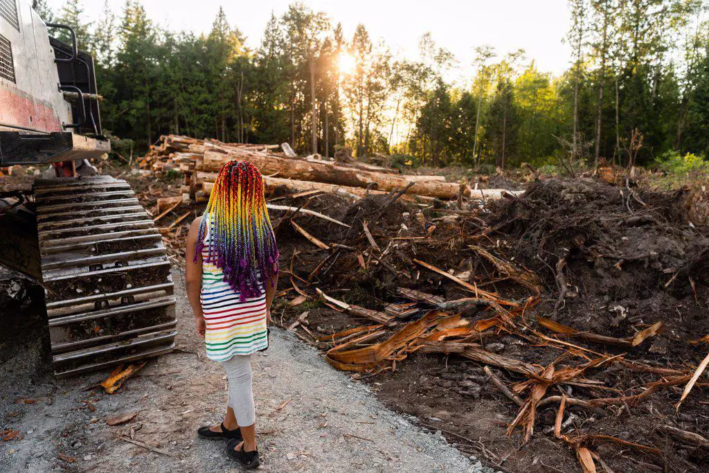 Girl with rainbow braids looks out over logging site