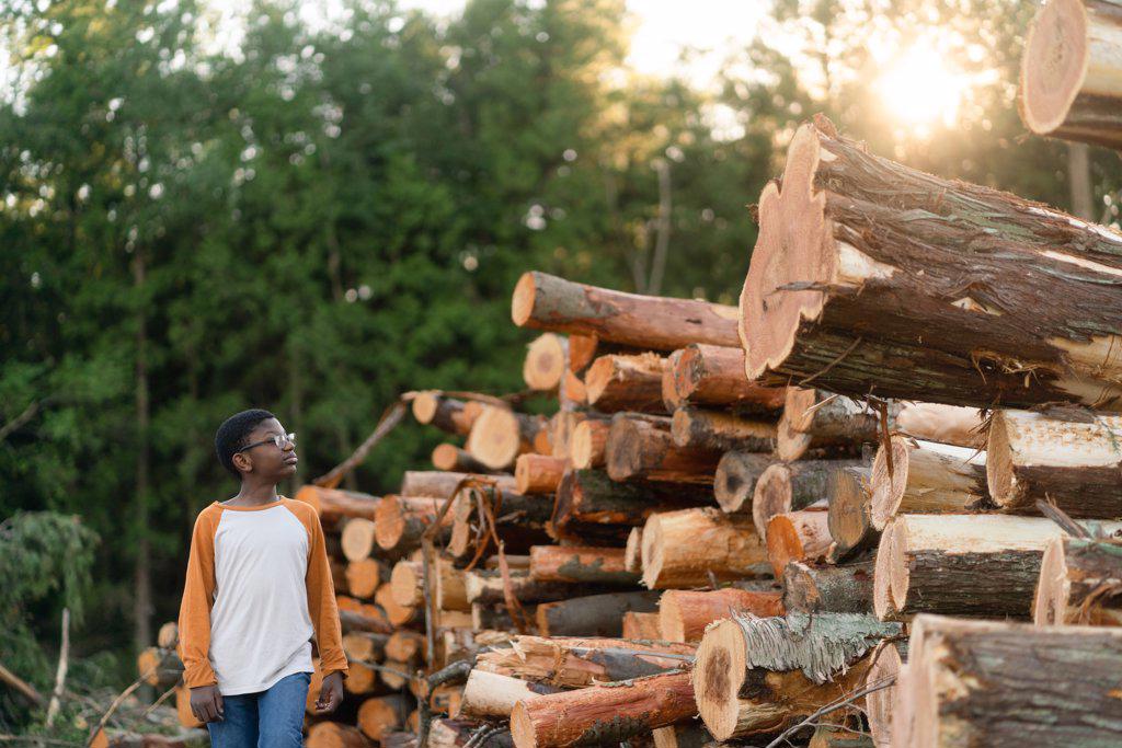 Boy examines pile of logs