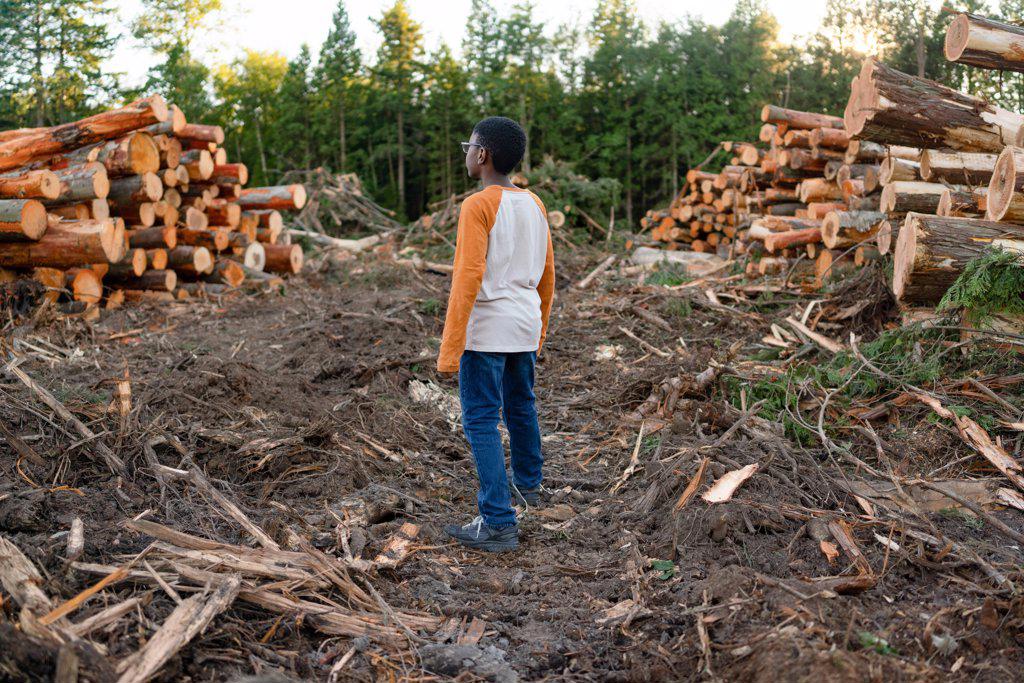 Black boy looks out over logging site