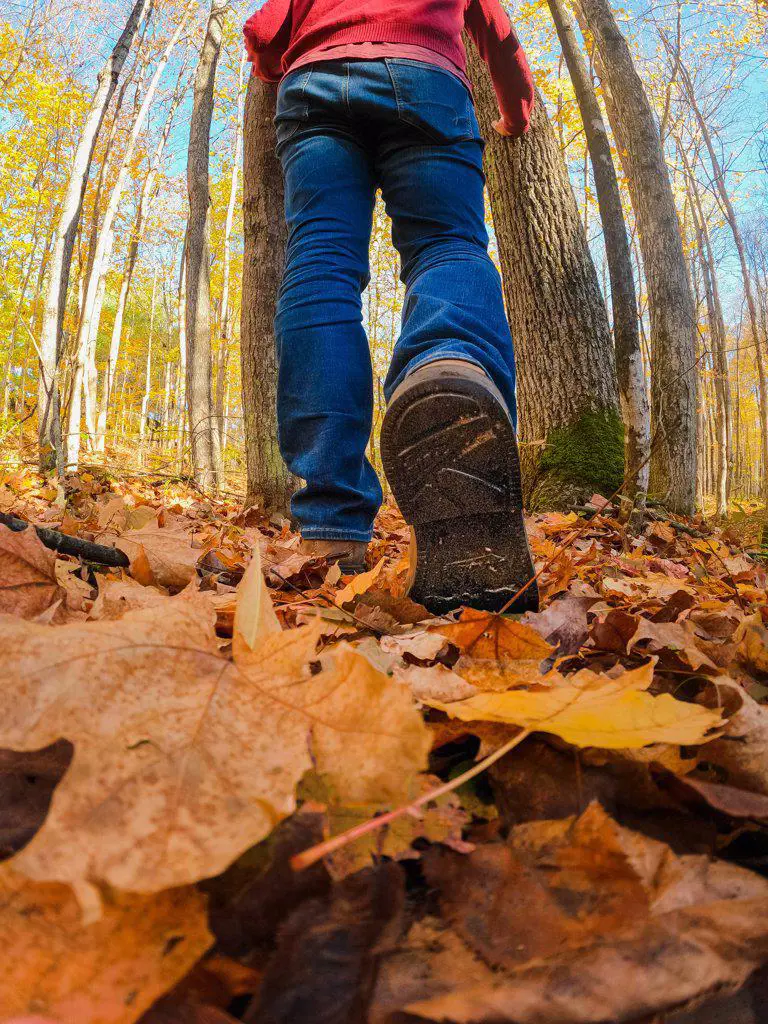 Cropped close up of a man's legs on a leafy hiking trail.