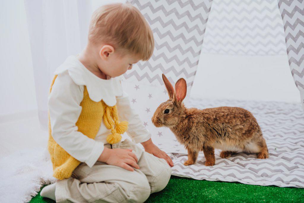 Little boy with bunny, posing at the Easter interior.