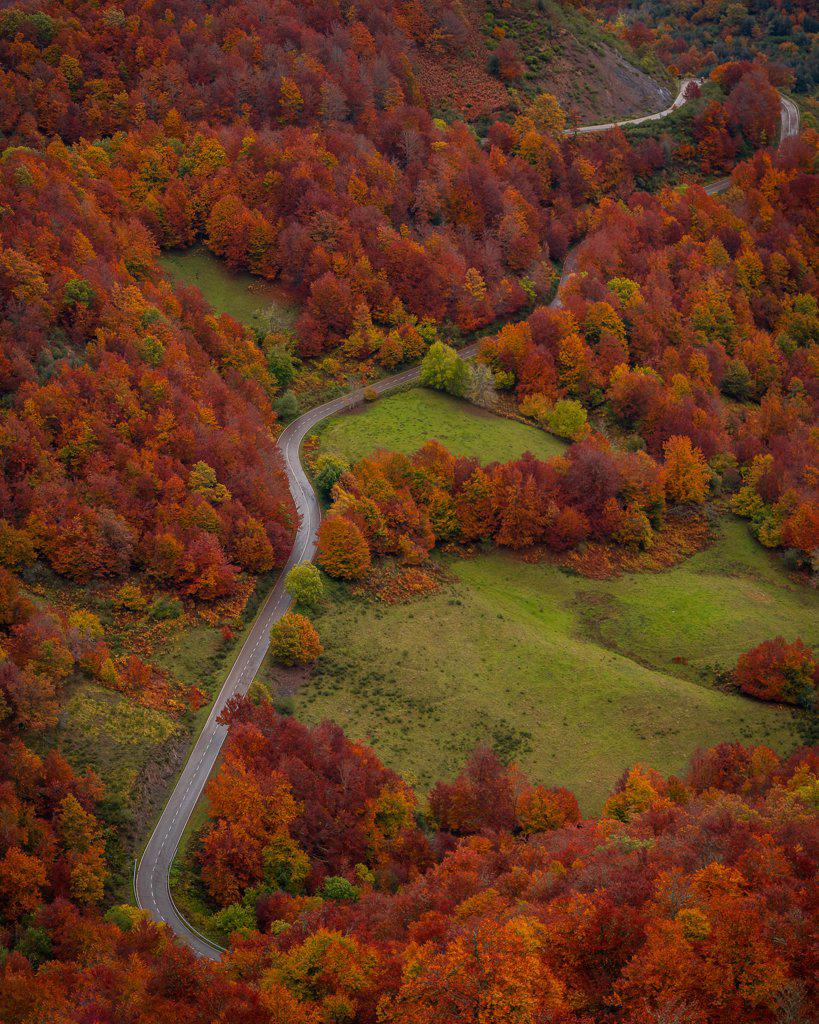 Road crossing autumn tree landscape in Picos de Europa
