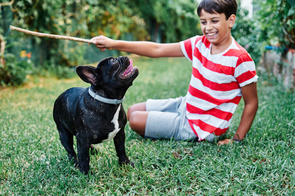 Young boy playing with his dog, french bulldog, in the garden