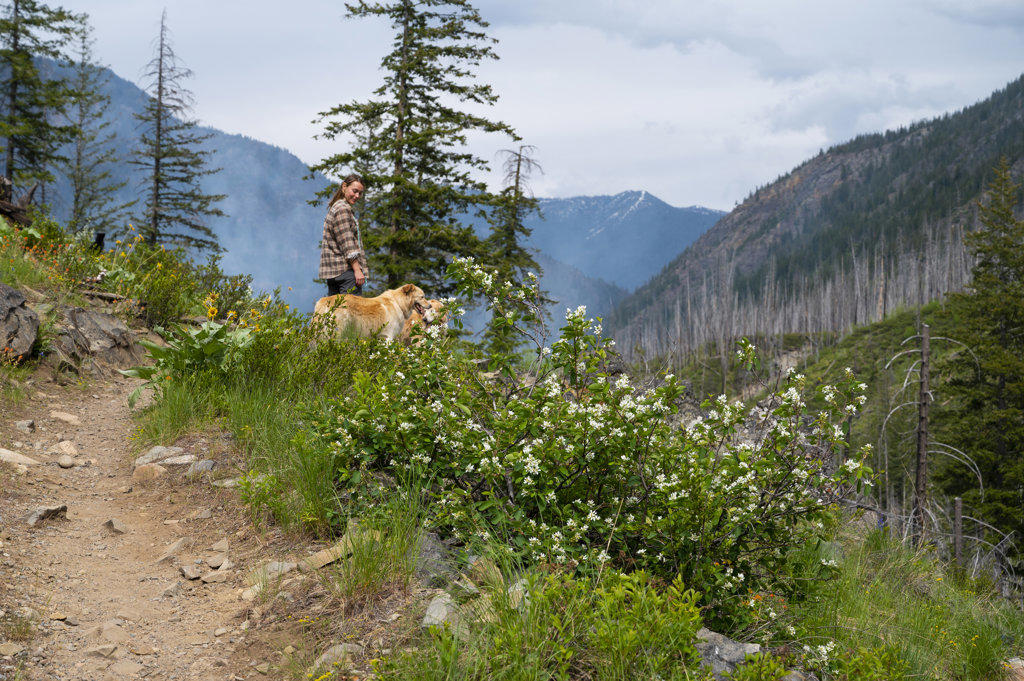 Female hiking with dogs in The North Cascades