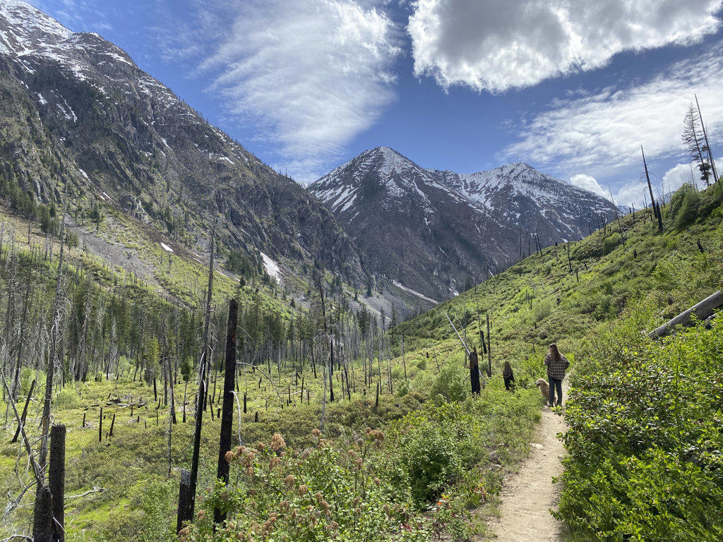 Female hiking through a burned river valley in The North Cascades