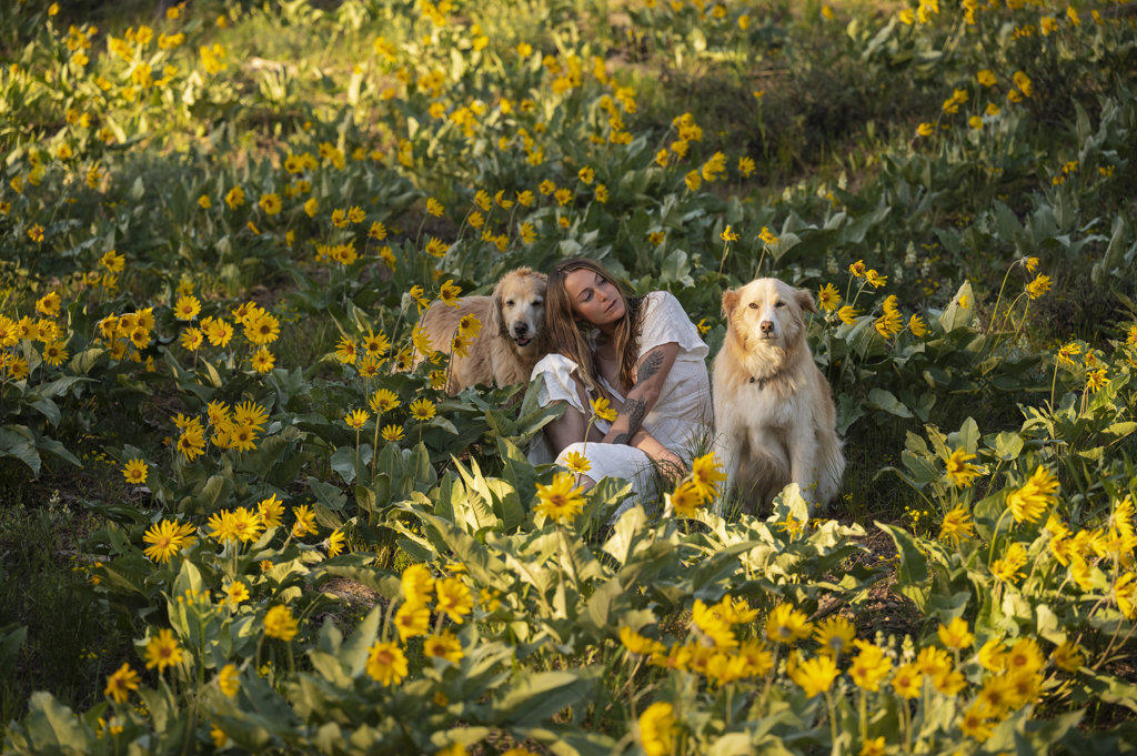 Female in a dress posing with dogs in a field of wildflowers