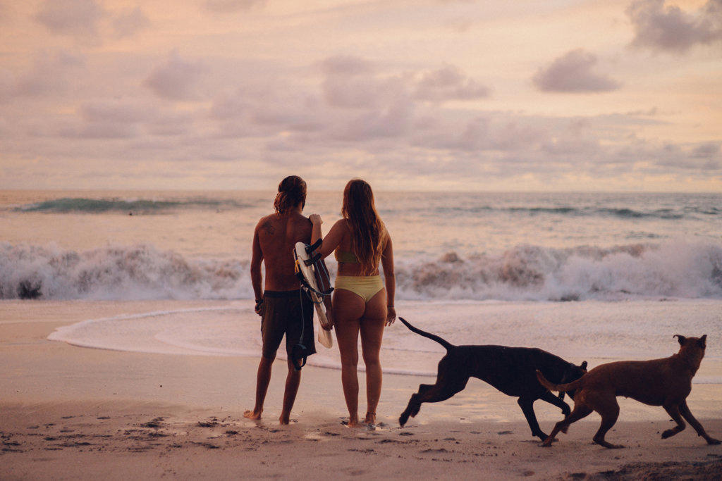 surfer couple and theirs dogs enjoying a beach day