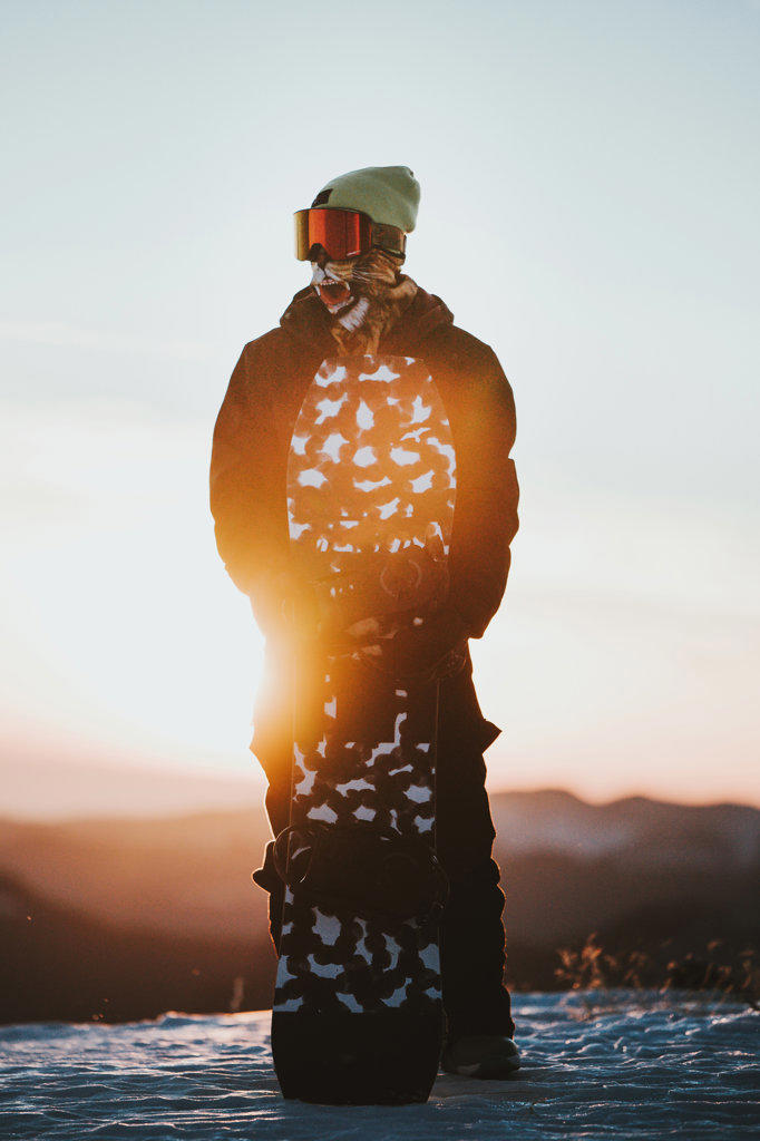 Snowboarder in sportswear and snowboard on the mountain at sunset