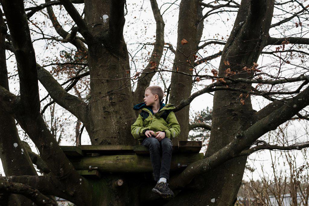 boy sitting in a tree house in a large tree thinking