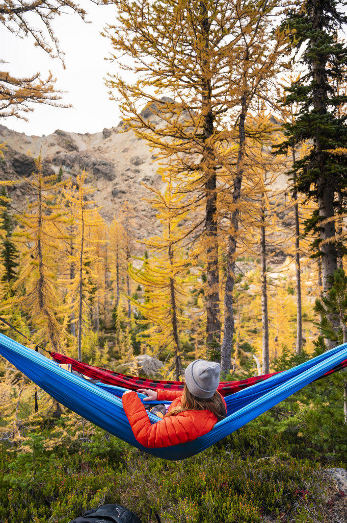 Female relaxing in a hammock in a forest of larches during autumn