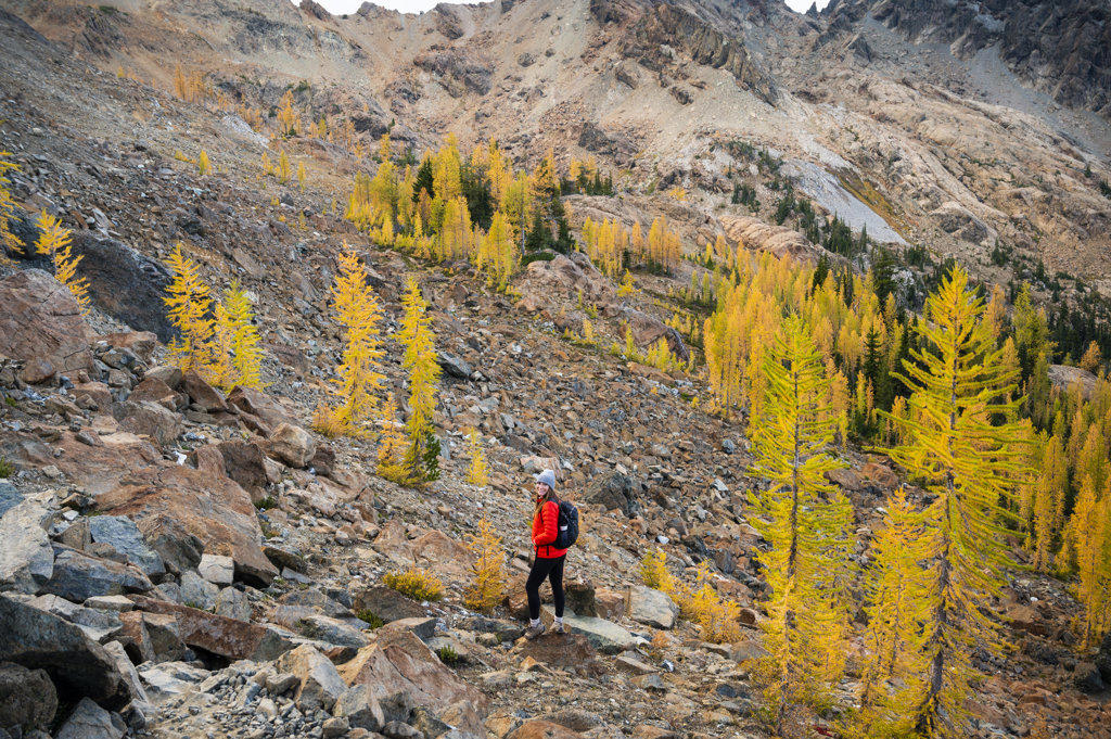 Fit female posing in a forest of golden larches in the fall