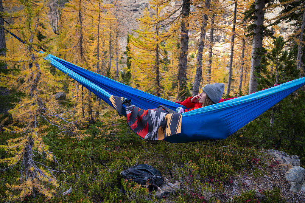 Female relaxing in a hammock in a forest of larches during autumn