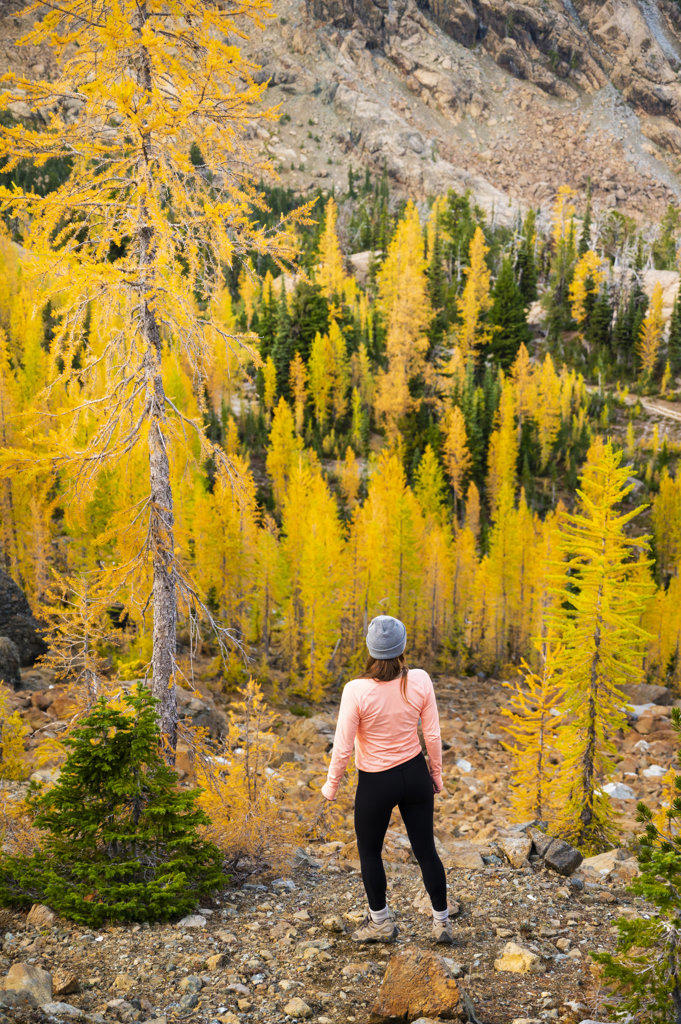 Female posing in a forest of larches in the alpine lakes wilderness