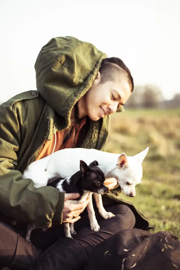 androgynous person sits in sunny field with two chihuahuas smiling