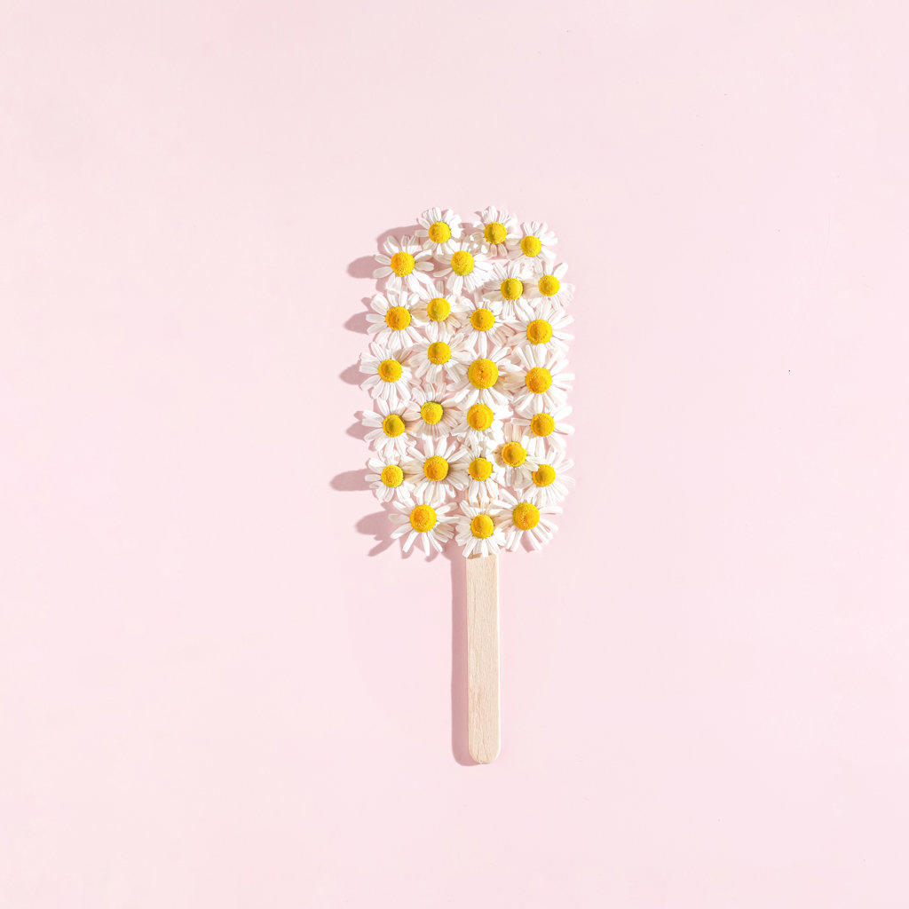 sunny chamomile ice cream on pink background stillife minimalism