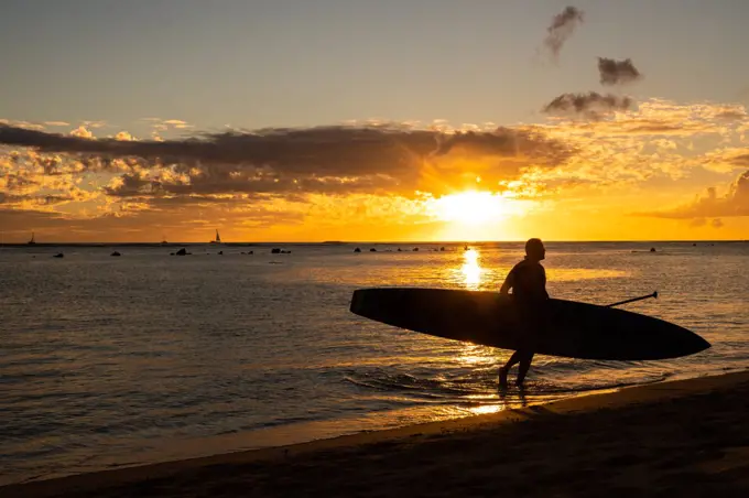 Paddle Boarding holds board and walks to beach at sunset in hawaii