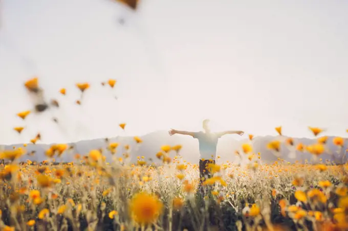 Boy in field with wildflowers with open arms and back light