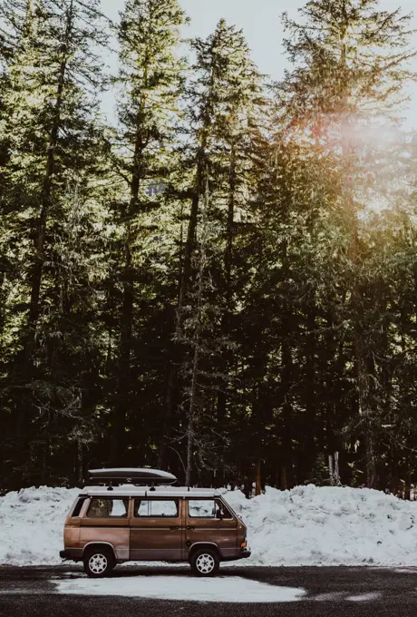 VW Van parked in front of tall evergreen trees with snow and sunshine