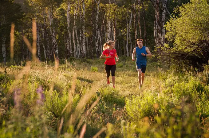 Two friends run through a grassy field and aspen grove at golden hour