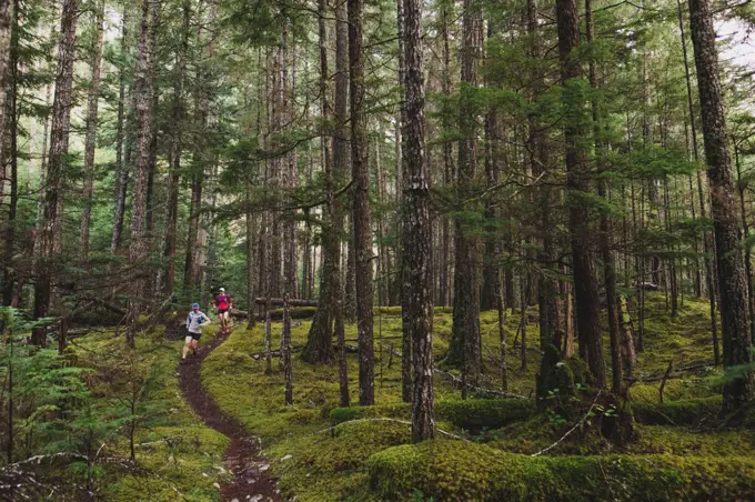 Two trail runners descend winding single track through lush forest