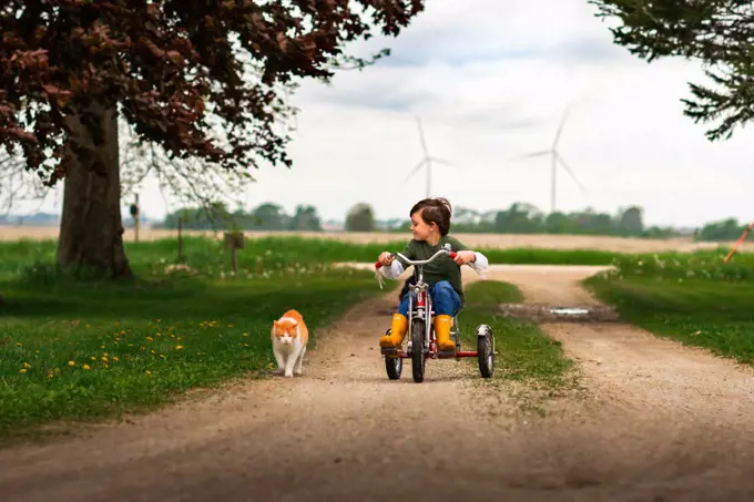boy riding tricycle in driveway with pet orange and white cat