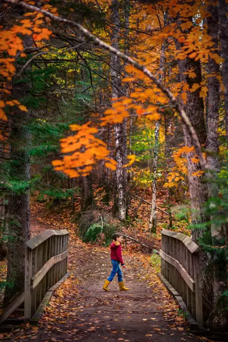 boy walking on dirt trail in the woods in a park during autumn