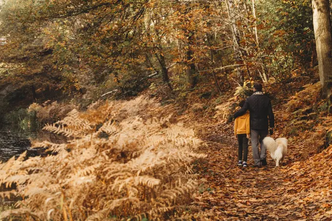 Rear view of father hugging son and dog walking on towpath in fall