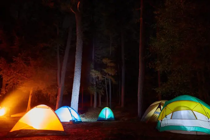 view of the illuminated tents in the middle of the forest at night