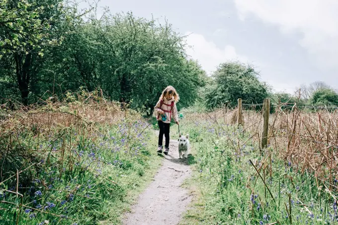 young girl walking her dog amongst the bluebells in the UK countryside